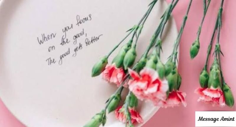 A beautiful flat lay of pink carnation flowers on a pink background next to a handwritten good morning quote for daughter from father that reads: When you focus on the good, the good gets better.
