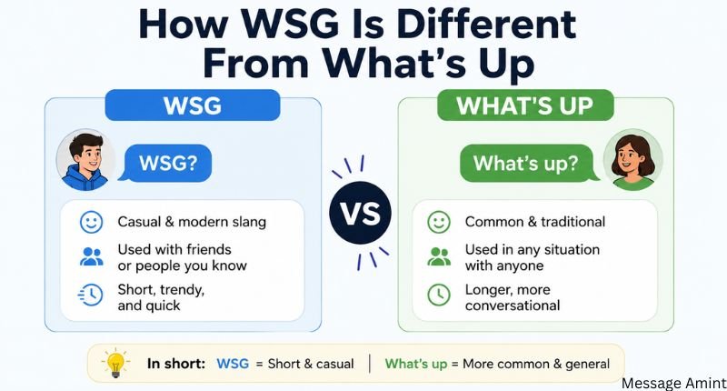 How WSG is different from What's Up comparison infographic
