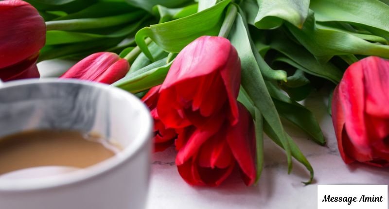 Good morning wishes for auntie with red tulips and warm coffee cup