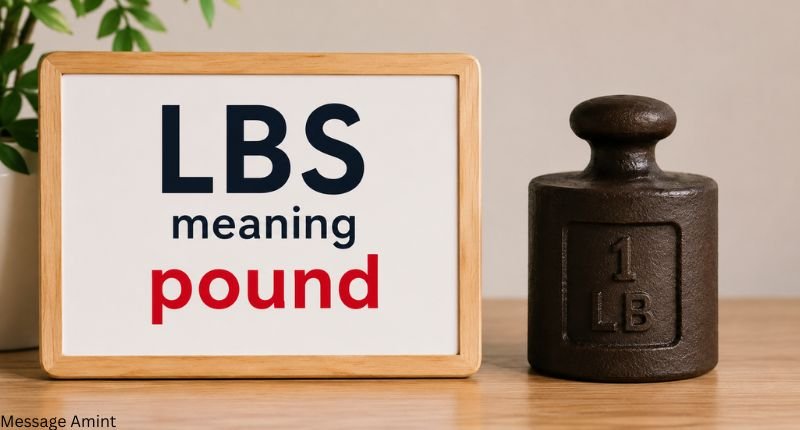 LBS meaning pound with a weight measurement and one pound weight